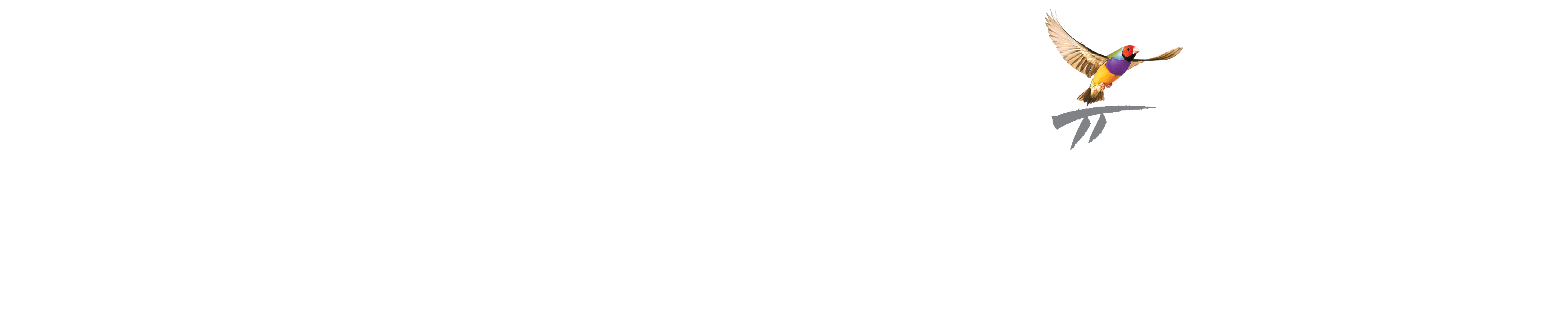Best Health App_Logo_Large - White with Transparent Background