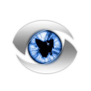 Launceston Eye BP VIP.net Logo