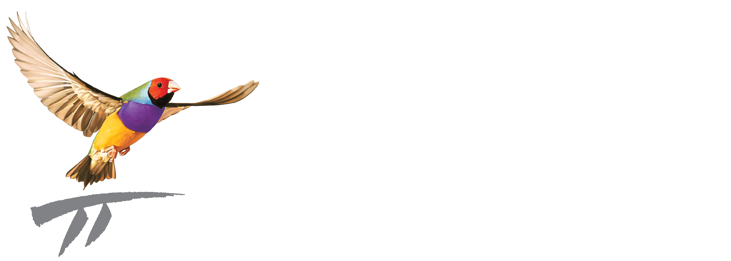 BestPractice_Logo_Large - White with Transparent Background
