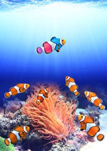 Submit Your Resume | Clown fish swimming above the crowd