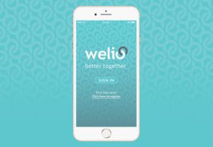 Best Practice Partner Network - Welio Image