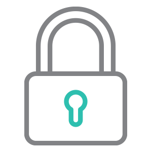 Secure Lock Icon Colour