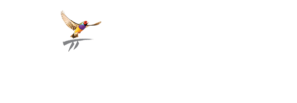 Bp Titanium Logo