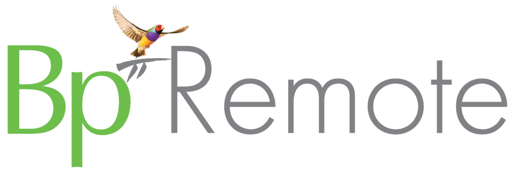 Bp Remote Logo
