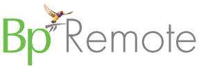 Bp Remote Logo