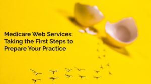 Medicare Web Services