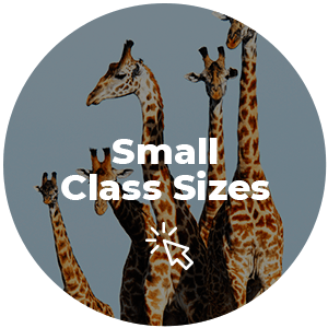 Bp Virtual_Roundal - Small classes