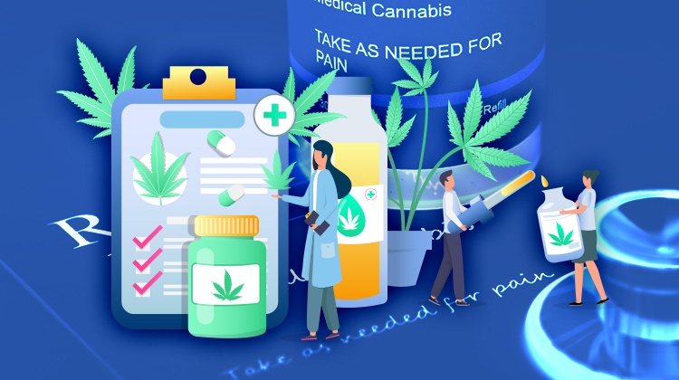 Medical Cannabis Prescribing blog image