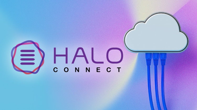 Halo connect logo